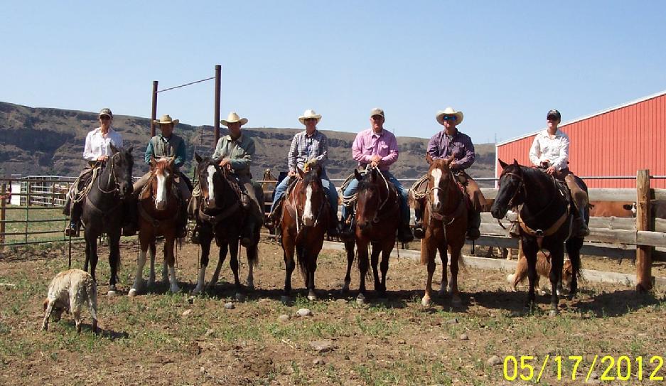 Gathering cattle in Washington